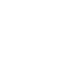 behance